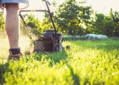 Stop Playing Bumper Cars: How to Mow Around the Obstacles in Your Yard